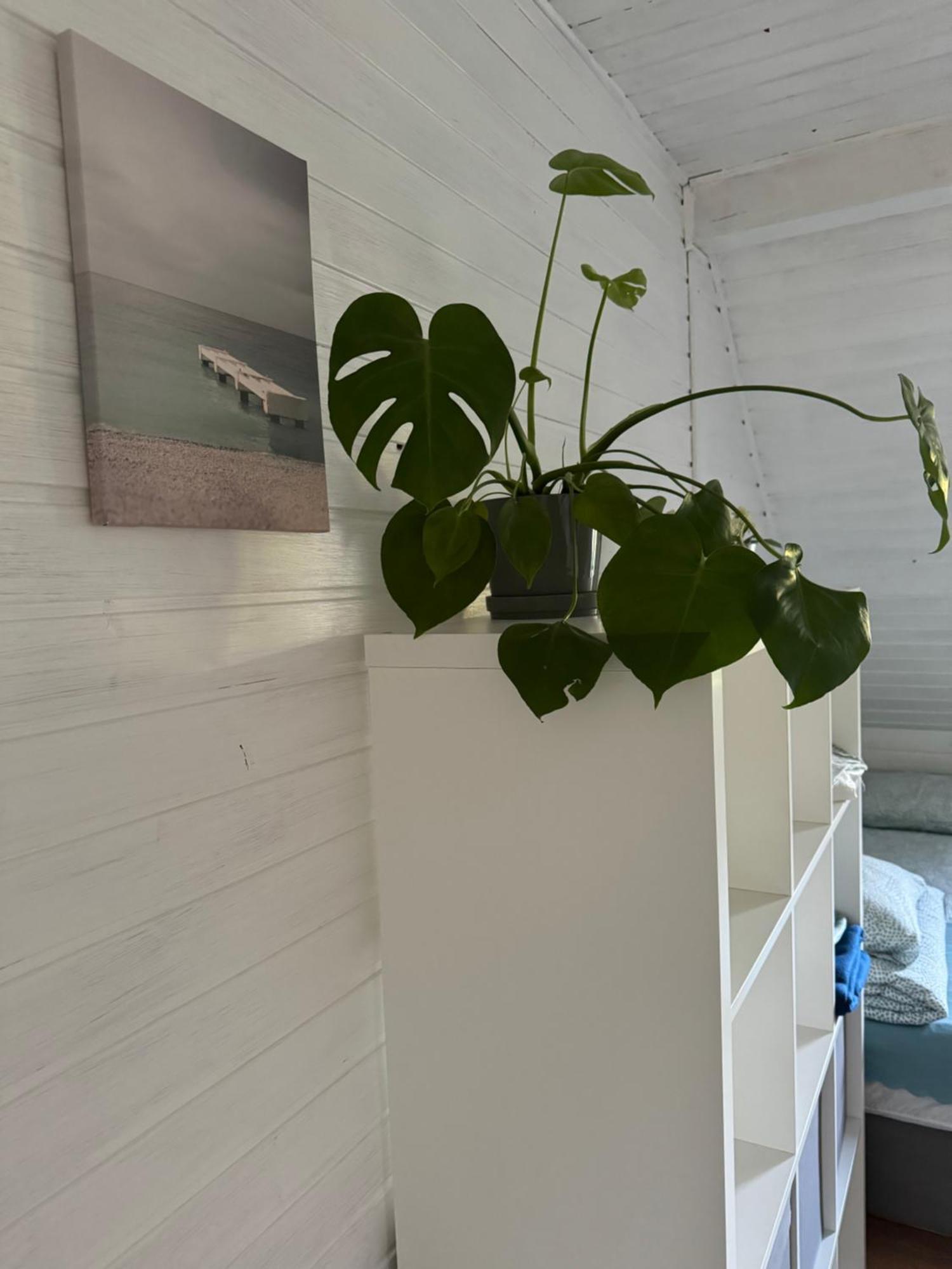 48C Domki Letniskowe I Apartament 波别罗沃 外观 照片