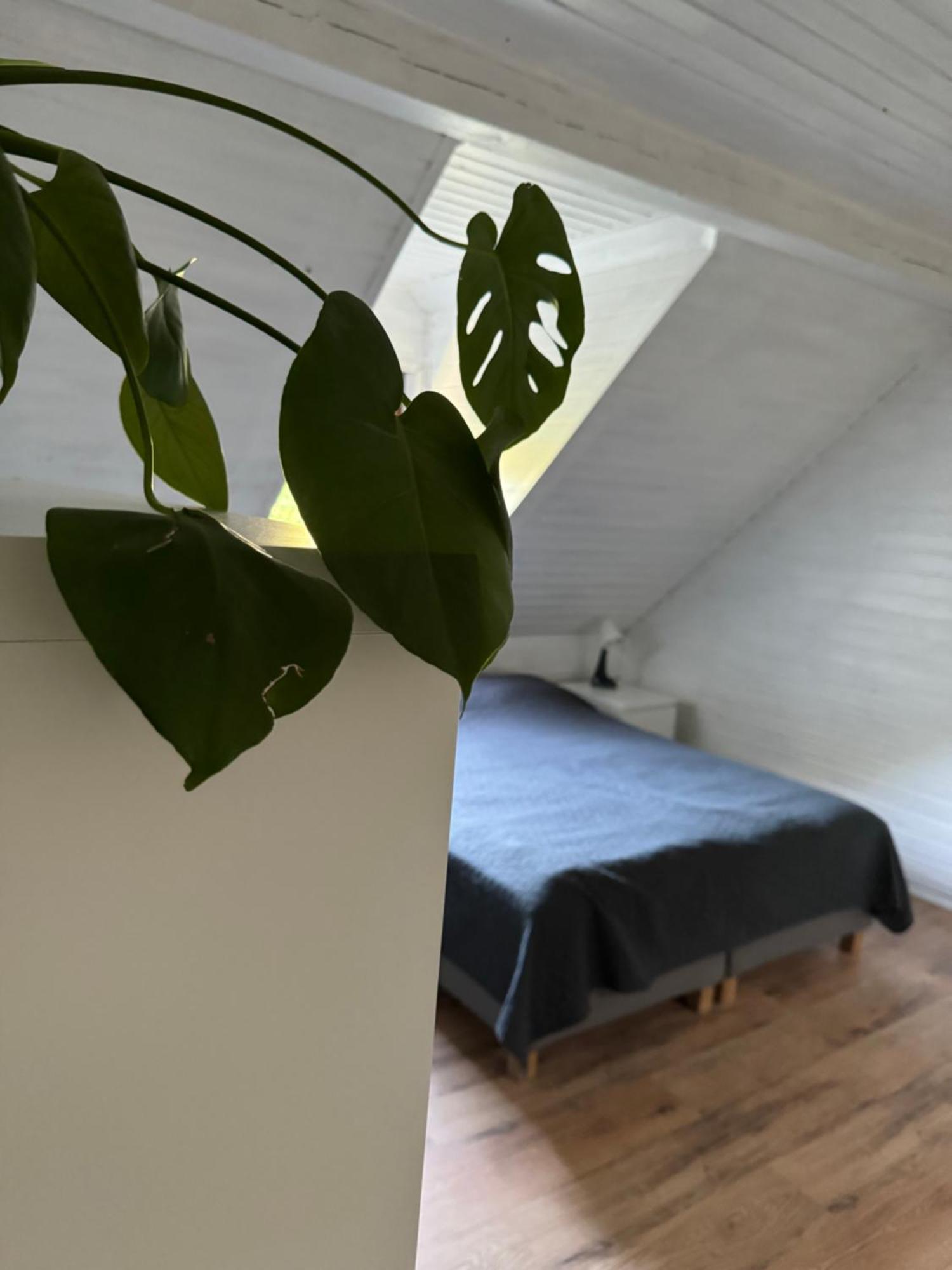 48C Domki Letniskowe I Apartament 波别罗沃 外观 照片